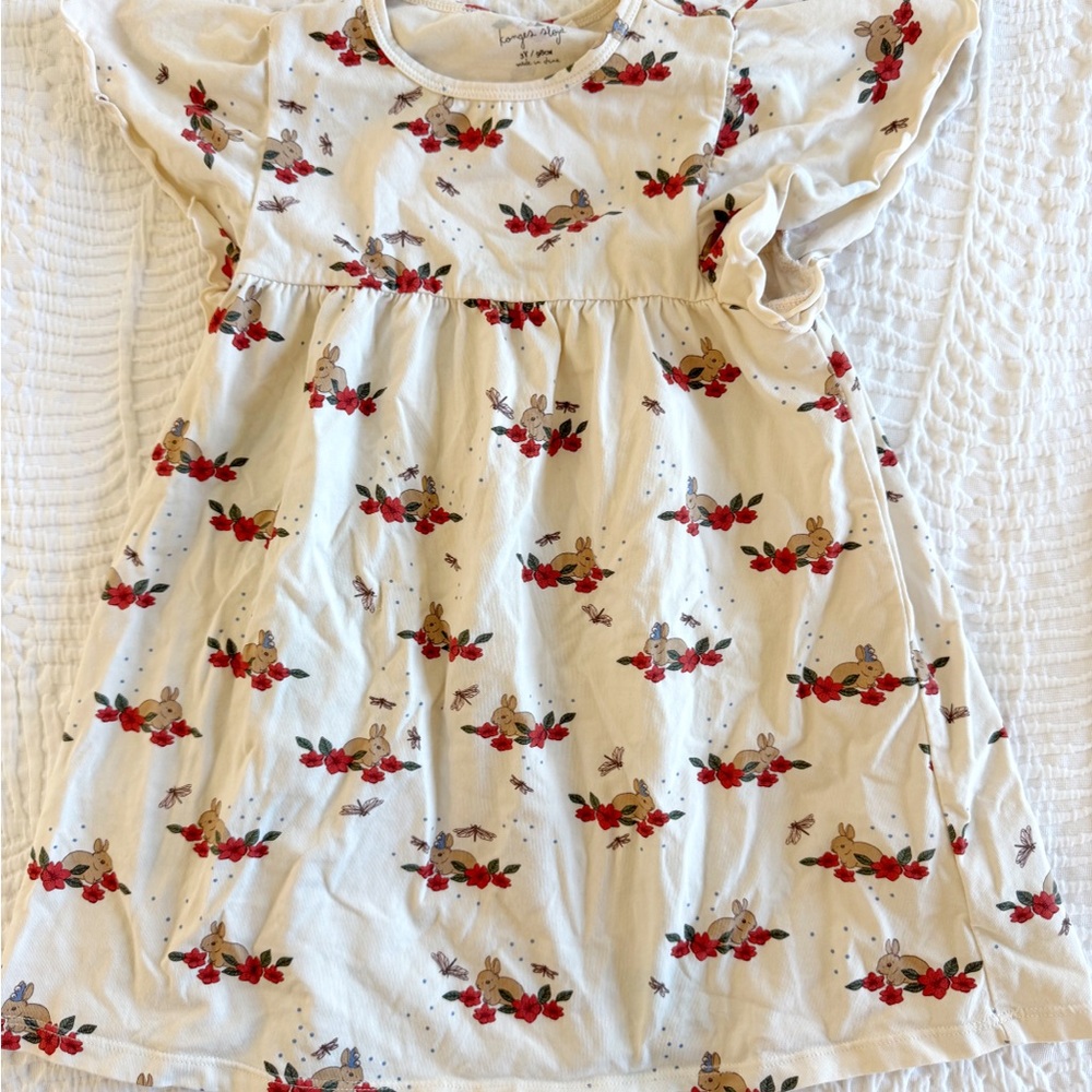Adorable Floral Kids Dress in Cream and Red